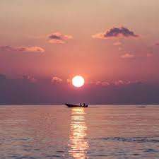 dawdsaf dawdsaf Profile Picture