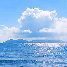 pkolij pkolij Profile Picture